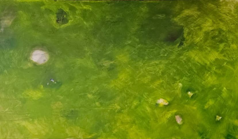 Meine Bilder aus dem Jahr 2023.