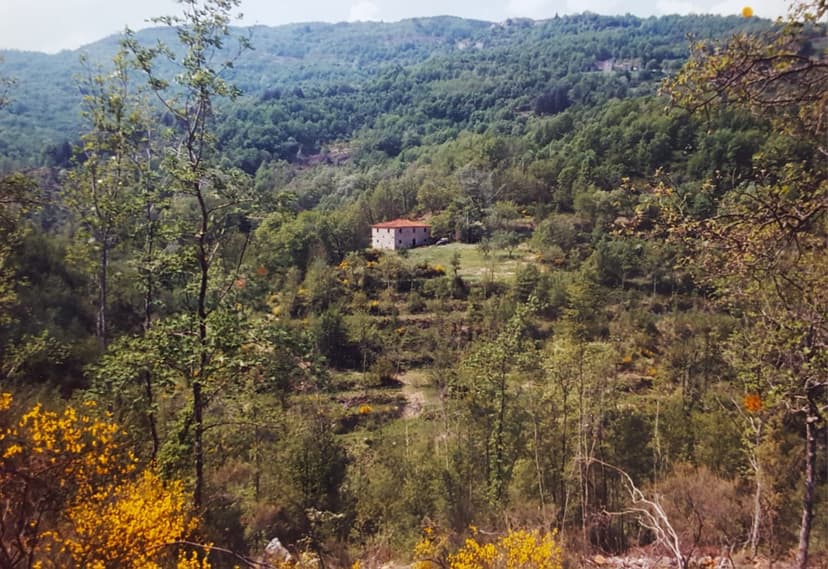 Bamie - 2025-08-16 09.43.35.jpg